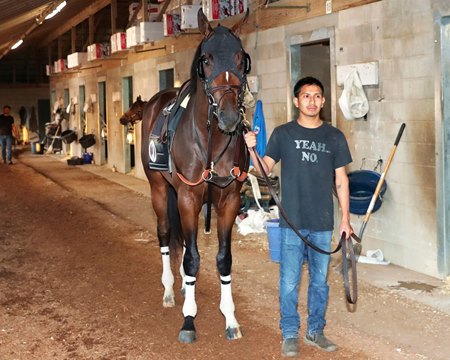 Golden Tempo April 17 at Churchill Downs