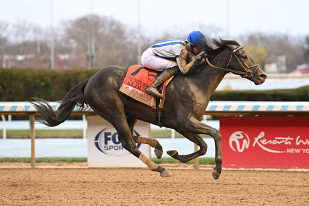 Albus wins the Wood Memorial Stakes at Aqueduct Racetrack