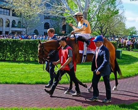 Expensive Queen in the paddock ahead of her dead-heat victory in the Jenny Wiley Stakes at Keeneland