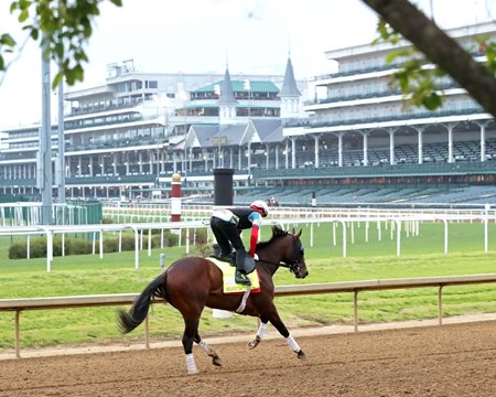 Silent Tactic gallops at Churchill Downs