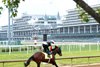 Silent Tactic - Gallop - CD - 042626