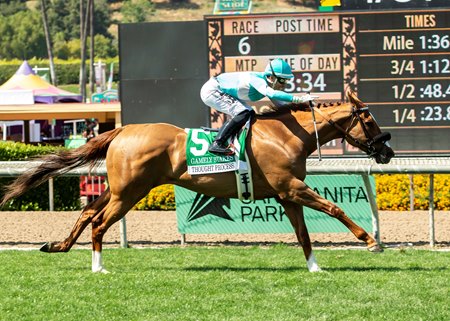 Four-year-old filly Thought Process is all alone at the end of the Gamely Stakes at Santa Anita Park