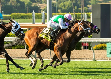 Marjoram outkicks Light Won Up to prevail in the Senorita Stakes at Santa Anita Park