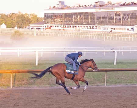 Taj Mahal exercises May 12 at Laurel Park