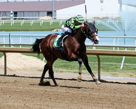 Tigrado, a son of freshman sire Nashville, breaks his maiden at Horseshoe Indianapolis