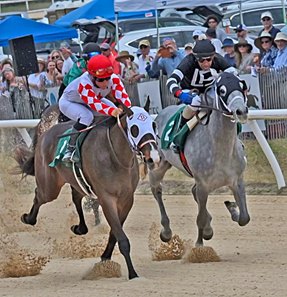 Ocelli, under Joe Sharp, wins the first race at the 2025 Aiken Trials at Aiken Training Track