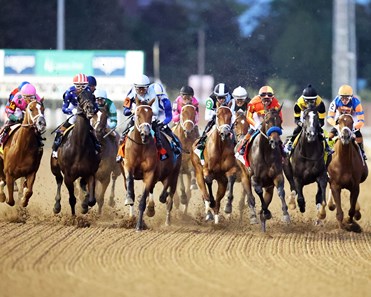 Always a Runner - Horse Profile - BloodHorse