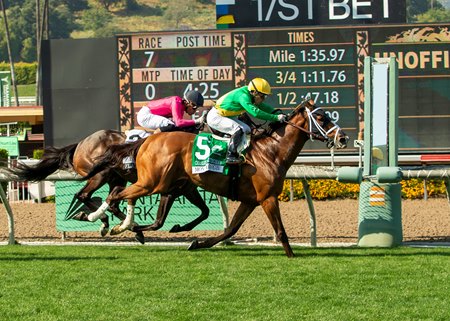 Mondego wins the Charles Whittingham Stakes at Santa Anita Park