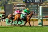 Cheyenne Stables' Mondego and jockey Emisael Jaramillo, right, win the Grade II $200,000 Charles Whittingham presented by FanDuel TV Saturday, May 2, 2026 at Santa Anita Park, Arcadia, CA.
Benoit Photo