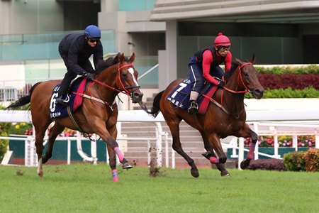 Romantic Warrior (inside) works on the turf at Sha Tin