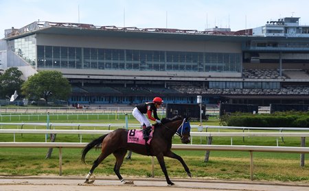 Aqueduct Racetrack