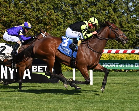No Show Sammy Jo wins the Sheepshead Bay Stakes at Aqueduct Racetrack