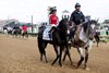 Kentucky Derby, presented by Woodford Reserve (G1), third-place finisher Ocelli, with Tyler Gaffalione, is ridden to the start at Churchill Downs in Louisville, Ky., on May 2, 2026.

