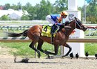 Obliteration #4 with Jose Ortiz riding won the Chick Lang Stakes at Laurel Racecourse on Saturday May 16, 2026. Photo By Bill Denver/EQUI-PHOTO