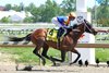 Obliteration #4 with Jose Ortiz riding won the Chick Lang Stakes at Laurel Racecourse on Saturday May 16, 2026. Photo By Bill Denver/EQUI-PHOTO