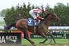 Growth Equity wins the 2026 Peter Pan Stakes at Aqueduct Racetrack