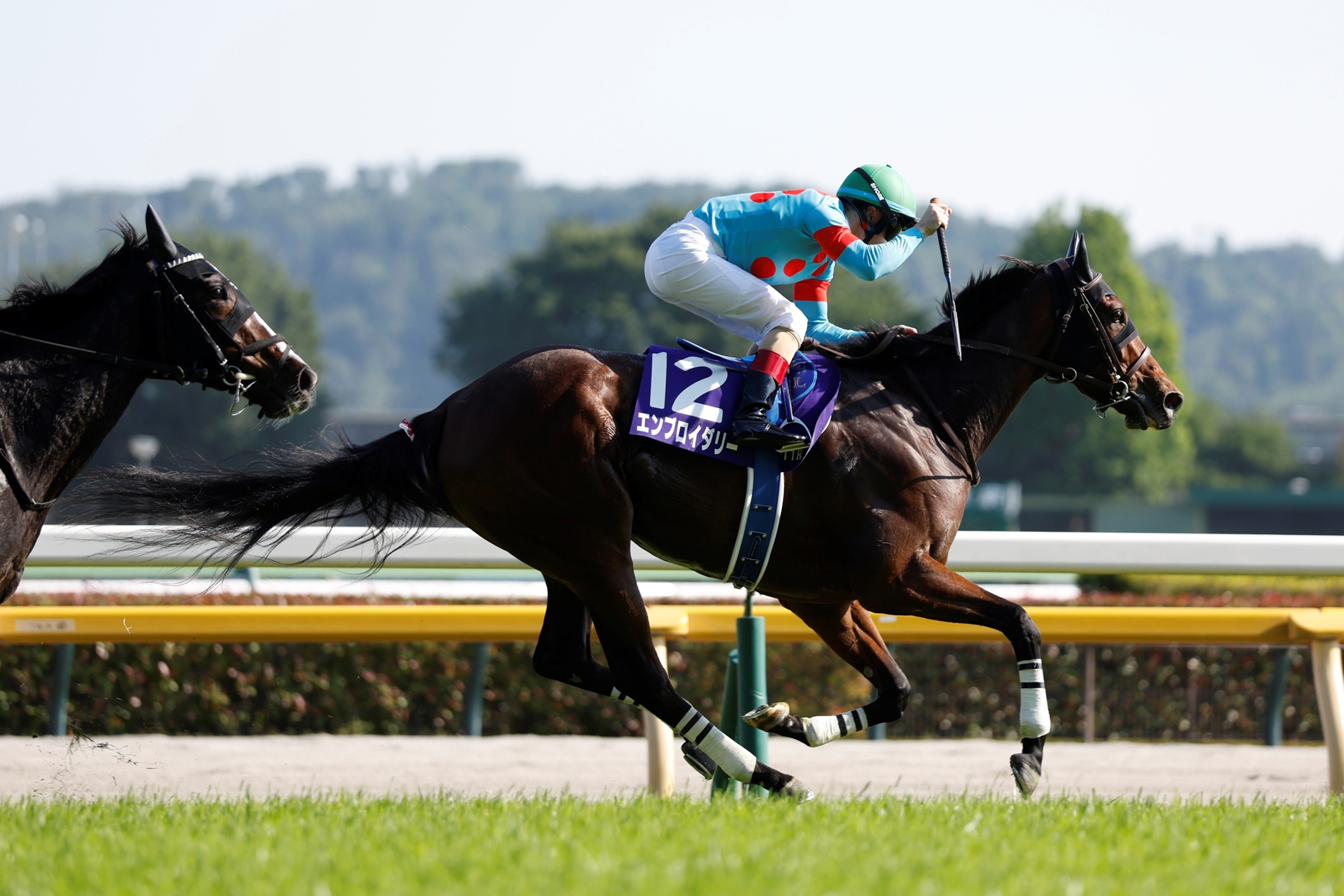 Embroidery's 'Perfect' Victoria Mile Win Nets BC Bid - TrueNicks.com