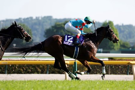 Embroidery wins the Victoria Mile at Tokyo Racecourse