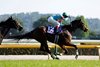 Embroidery wins the Victoria Mile on Sunday, May 17 at Tokyo Racecourse