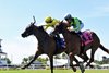 Celtic Dispute wins the 2026 Royal Palm Juvenile Stakes at Gulfstream Park