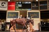 2026 Inglis Chairman's Sale, Lot 115