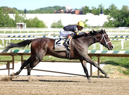Margie's Intention wins the Allaire DuPont Distaff Stakes at Laurel Park