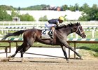 Margie’s Intention #2  with Irad Ortiz, Jr. riding won the $125,000 Allaire DuPont Distaff Stakes at Laurel Racecourse on Friday  May 15, 2026. Photo By Bill Denver/EQUI-PHOTO
