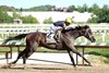 Margie’s Intention #2  with Irad Ortiz, Jr. riding won the $125,000 Allaire DuPont Distaff Stakes at Laurel Racecourse on Friday  May 15, 2026. Photo By Bill Denver/EQUI-PHOTO