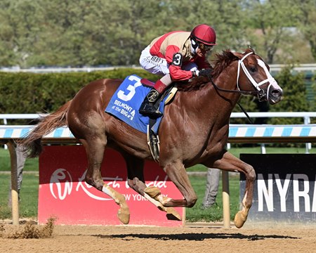 Antiquarian wins the Westchester Stakes at Aqueduct Racetrack
