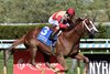 Antiquarian wins the 2026 Westchester Stakes at Belmont at the Big A