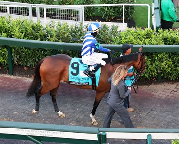 Always a Runner - Horse Profile - BloodHorse
