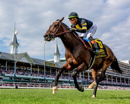 Rhetorical wins the Turf Classic Stakes at Churchill Downs