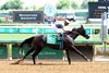 Splendora wins the 2026 Shawnee Stakes at Churchill Downs