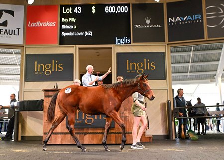 The Shinzo filly, cataloged as Lot 43, in the ring at the Inglis Australia Foal Sale
