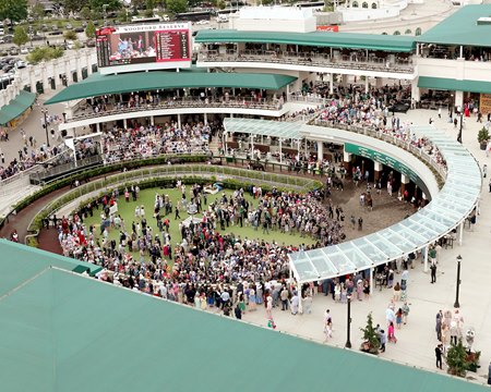 The Churchill Downs paddock on Kentucky Derby day