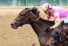 Soaring High, Maiden Win, May 1 2026, Churchill Downs