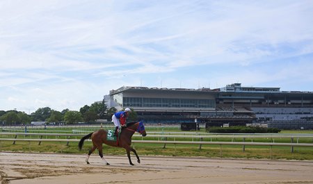 Aqueduct Racetrack
