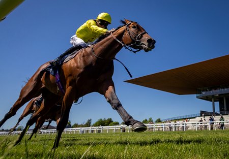 Almaqam wins the Tattersalls Gold Cup at The Curragh