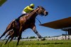 The Gr.1 Tattersalls Gold Cup won by Almaqam and Kieran Shoemark.
The Curragh.
Photo: Patrick McCann/Racing Post
24.05.2026