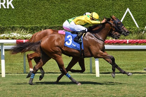 Biancone Back to Royal Ascot With 'Little Rocket Ship'