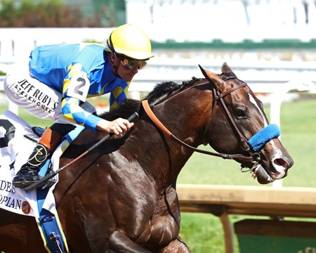 Cornucopian wins the Aristides Stakes at Churchill Downs