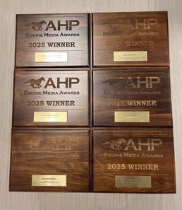 First-place media awards plaques