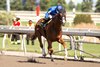 Jockey Sofia Vives guides Godolphin LLC owned Maycocks Bay to victory in the $175,000 bet365 (Grade II) Eclipse Stakes at Woodbine Racetrack. Maycocks Bay is trained by Michael Stidham. Woodbine/ Michael Burns Photo