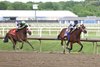 My Miss Mo #10 with Tyler Gaffalione riding pulls away from Jumping the Gun and Luis Saez to win the $300,000 Grade II George E. Mitchell Black-Eyed Susan Stakes at Laurel Racecourse on Friday  May 15, 2026. Photo By Bill Denver/EQUI-PHOTO