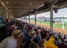 Spectators watch the ninth race, on the turf, on Kentucky Derby 2026, Saturday, May 2, 2026 at Churchill Downs in Louisville, Ky.