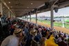 Spectators watch the ninth race, on the turf, on Kentucky Derby 2026, Saturday, May 2, 2026 at Churchill Downs in Louisville, Ky.