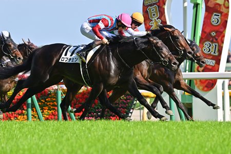 Lovcen (outside) wins the Tokyo Yushun at Tokyo Racecourse