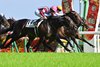 Lovcen wins the Tokyo Yushun (Japanese Derby) on Sunday, May 31 at Tokyo Racecourse