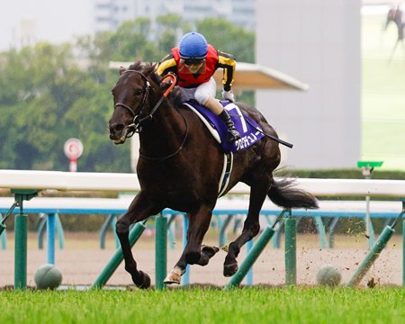 Croix du Nord wins the Tenno Sho at Kyoto Racecourse