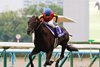 Croix du Nord wins the 2026 Tenno Sho at Kyoto Racecourse
